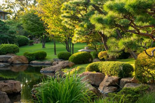 a garden with a pond and trees and rocks at Tokiwa Hotel in Kofu