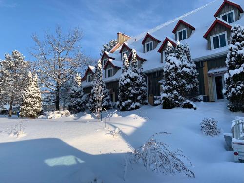 una casa cubierta de nieve con árboles en el patio en Hotel Cowansville, en Cowansville