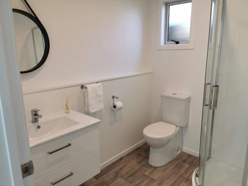 a bathroom with a toilet and a sink and a mirror at Guest House on Guthrie in Havelock North