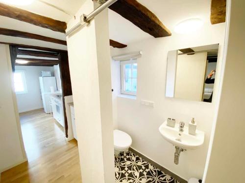 a bathroom with a sink and a toilet and a mirror at Charmante Apartments mit TV-WiFi in Kelkheim