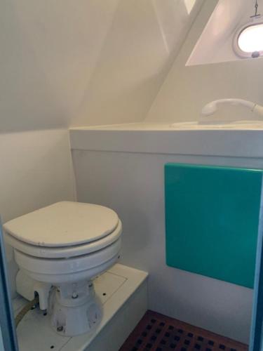 a bathroom with a white toilet in a room at Jade Flyer in Saltash
