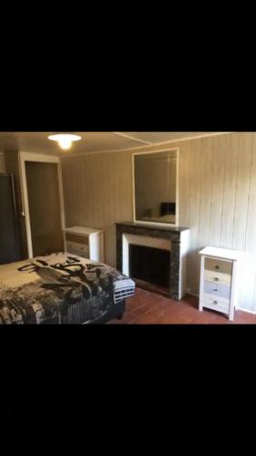 ein Schlafzimmer mit einem Bett und einem Kamin in der Unterkunft Chez Pierre in LʼIsle-sur-Serein
