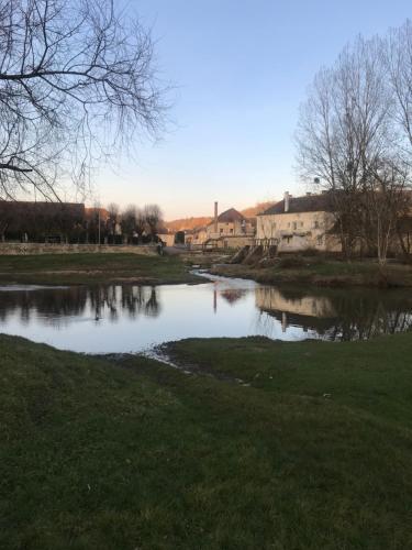 un estanque en un campo con edificios en el fondo en Chez Pierre, en LʼIsle-sur-Serein