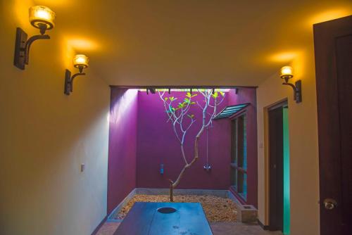 a room with a purple wall with a tree in it at Celestia Wellness Resort in Bentota