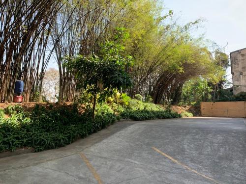 a parking lot with a row of trees and bushes at เขมกานต์ อพาร์ตเมนต์ in Ban Hua Thong Lang