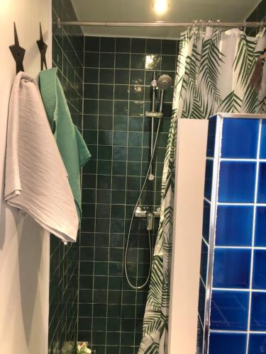 baño con ducha con azulejos verdes en Appartement Paris Marais, en París