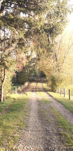 a dirt road in a field with trees and grass at L'orée du bois in Roy