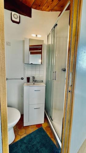 une salle de bain avec une douche, un lavabo et des toilettes dans l'établissement Moulin du seigneur a Roscanvel, à Roscanvel