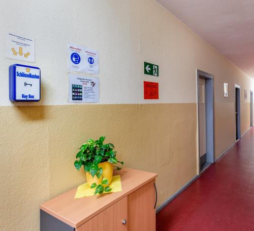 a hallway of a hospital with a plant on a cabinet at Pension Schwalbenweg in Schönefeld