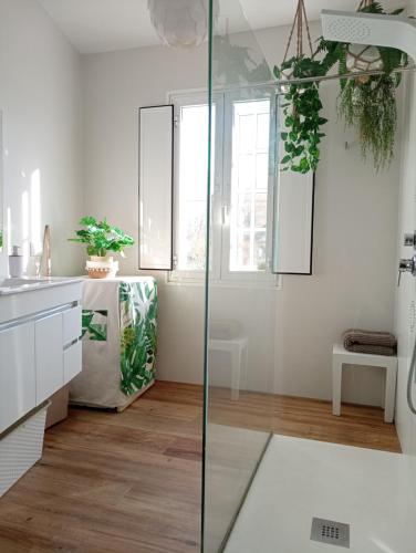 a white kitchen with plants hanging from the ceiling at Casa Amelia 1ªP a 50 m Camino de Santiago in Padrón