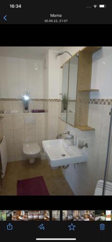 een badkamer met een wastafel, een toilet en een spiegel bij BIO Hof/Wiesbauer Talblick in Türnitz