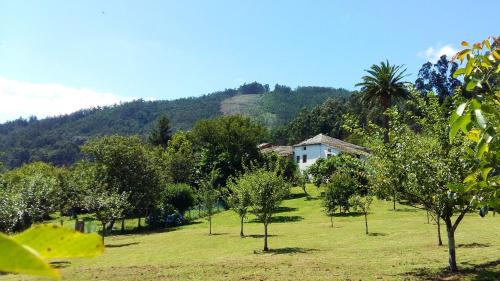 un campo con árboles y una casa al fondo en Corredoira en Vivero