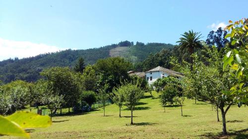 a field with trees and a house in the background at Corredoira in Viveiro