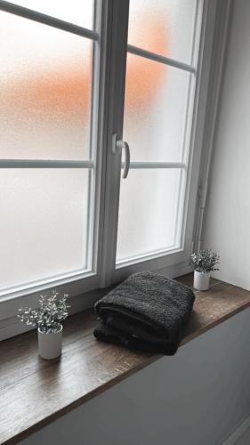 une fenêtre avec deux plantes en pot sur un rebord de fenêtre en bois dans l'établissement Le Georges studio, à Margny-lès-Compiègne