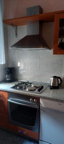 Gallery image of Apartman Alenka in Tkon
