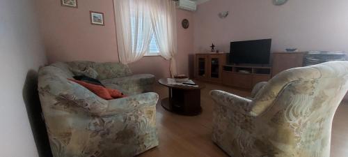 ein Wohnzimmer mit 2 Stühlen und einem TV in der Unterkunft Apartman Alenka in Tkon