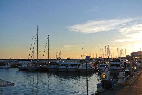 a group of boats docked in a harbor at Hotel Les Palmiers En Camargue in Saintes-Maries-de-la-Mer