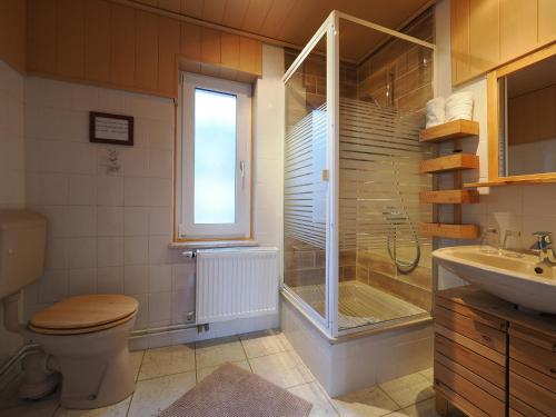 a bathroom with a shower and a toilet and a sink at Bauernstube Morgenitz in Morgenitz