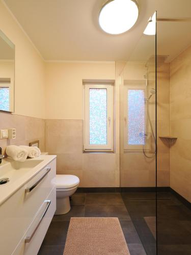 a bathroom with a toilet and a glass shower at Bauernstube Morgenitz in Mellenthin