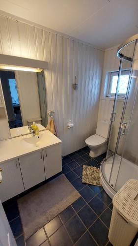 a bathroom with a sink and a shower and a toilet at Cozy Apartment between sea and mountains in Mefjordvær