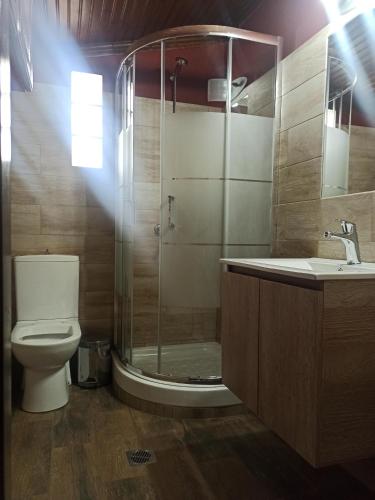 a bathroom with a shower and a toilet and a sink at ForestRock Studio FOR SALE TOO in Sparti