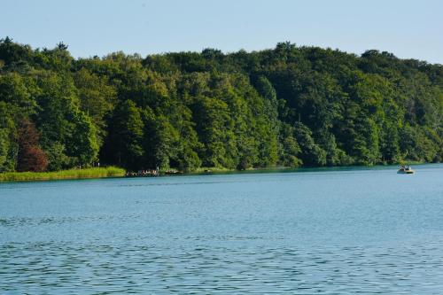 a boat on a lake with trees in the background at Przystań Łagówek - domki letniskowe in Łagów