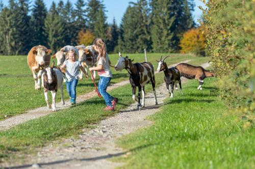 two girls walking down a dirt road with a herd of animals at Ferienhof Weishäupl in Untergriesbach