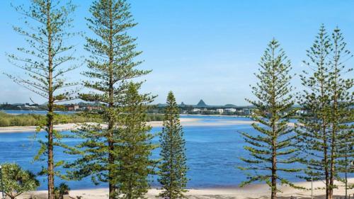 un grupo de árboles en una playa cerca del agua en Unit 6 Kookaburra Court, Bulcock Beach Esplanade, en Golden Beach