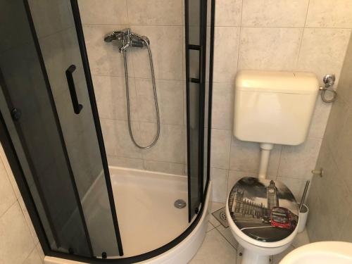 a bathroom with a shower and a toilet and a sink at Stone House Center in Primošten