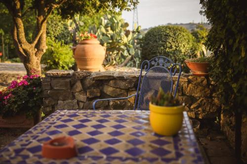 a table with a bench and potted plants on it at Il Poggio di Teo in Manciano