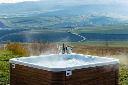 a bath tub sitting on top of a grassy field at Pensiunea Casa Buna in Gîrbova