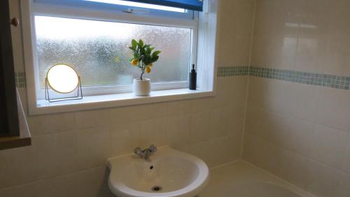 a bathroom with a sink and a window with a potted plant at Templecombe in Temple Combe