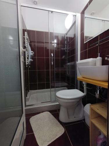 a bathroom with a toilet and a sink and a shower at B Apartments - Babel Apartment in Timişoara