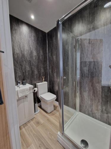 uma casa de banho com um chuveiro e um WC. em Flat 2, Modern Studio apartment, Tynte Hotel, Mountain Ash em Quakers Yard