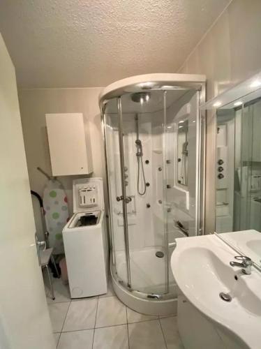 une salle de bain avec douche et lavabo dans l'établissement Studio Les Bastides, à Gréoux-les-Bains