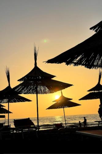 a group of umbrellas on the beach at sunset at Guest house Andersoni Dhoma plazhi Andersoni in (( Shën Ded Gjoni ))