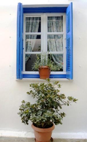 Gallery image of Idroussa in Batsi