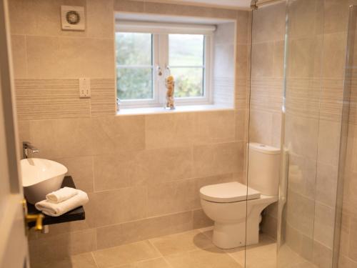 baño con aseo y lavabo y ventana en Pass the Keys Character country cottage with scenic castle views, en Llandeilo