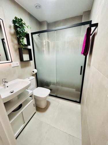 een badkamer met een douche, een toilet en een wastafel bij Coqueto apartamento céntrico con piscina in Córdoba
