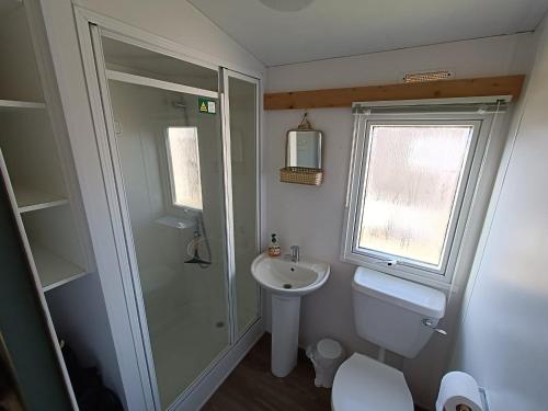 een badkamer met een wastafel, een toilet en een douche bij RBR 1336 - Beach Resort Kamperland in Kamperland