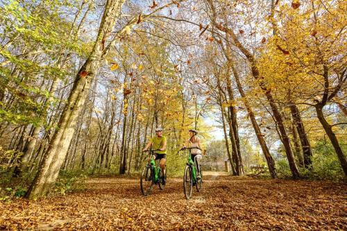 two people riding bikes down a trail in the woods at Gasthof Wagner Restaurant-Pension in Halbenrain