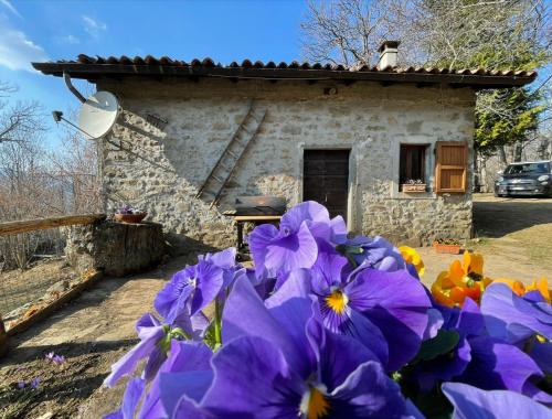 um grupo de flores roxas em frente a uma casa de pedra em CasaGiulia em Sillano