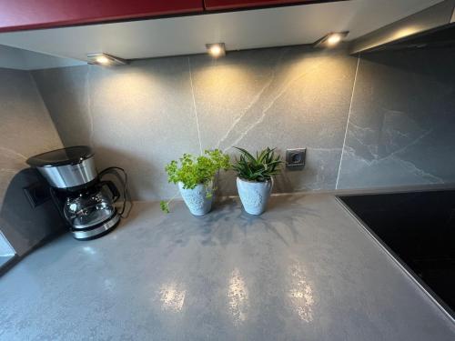 two potted plants sitting on a counter in a kitchen at Zum Sternberg in Münsingen