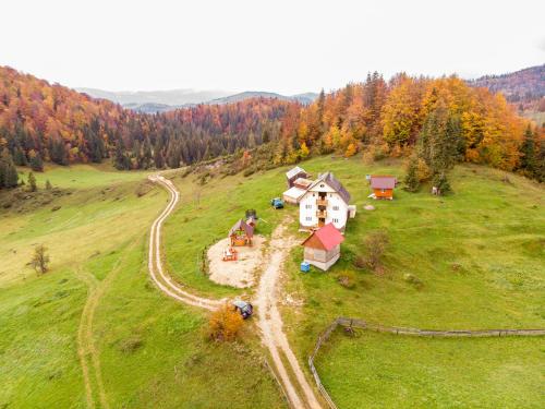 una vista aérea de una casa en un campo verde en Pensiunea Poarta Lui Ionele, en Gârda de Sus