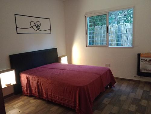 Casa verde – Photos 3