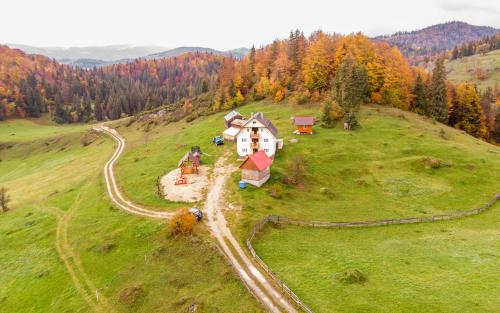 an aerial view of a house on a green field at Pensiunea Poarta Lui Ionele in Gîrda de Sus