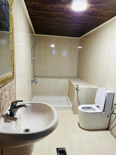 a bathroom with a sink and a toilet and a shower at شقق الياسمين in Jerash