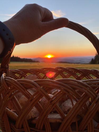 Foto dalla galleria di Hillside Strašín Šumava a Strašín