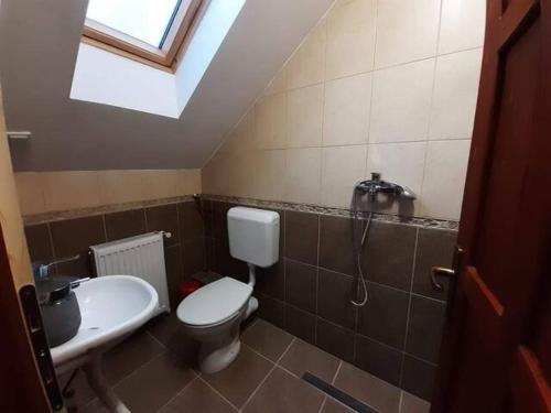 La salle de bains est pourvue de toilettes et d'un lavabo. dans l'établissement CRYSTAL CLEAR AIR, TRANQUILITY & STUNNING SUNSETS, à Vlăhiţa
