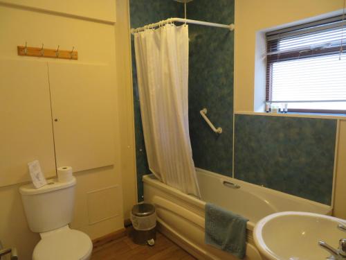 uma casa de banho com um WC, um lavatório e um chuveiro em Upper Grippath Farm Holiday Cottages em Newport